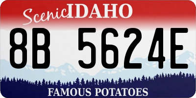 ID license plate 8B5624E