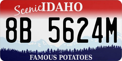 ID license plate 8B5624M