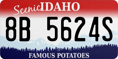 ID license plate 8B5624S