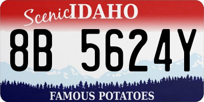 ID license plate 8B5624Y