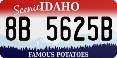 ID license plate 8B5625B