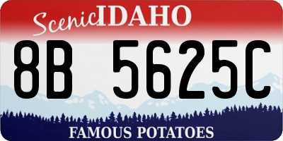 ID license plate 8B5625C