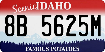 ID license plate 8B5625M