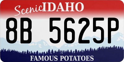 ID license plate 8B5625P