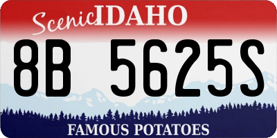 ID license plate 8B5625S
