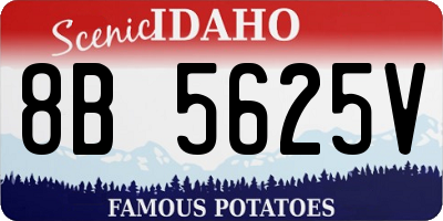 ID license plate 8B5625V