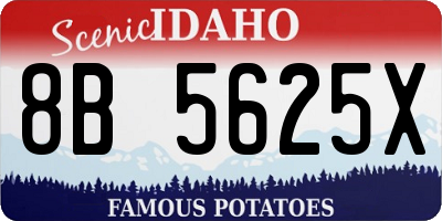 ID license plate 8B5625X