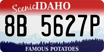 ID license plate 8B5627P