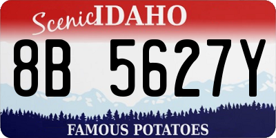 ID license plate 8B5627Y