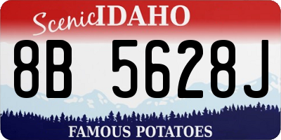 ID license plate 8B5628J