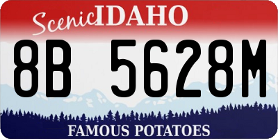 ID license plate 8B5628M