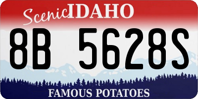 ID license plate 8B5628S