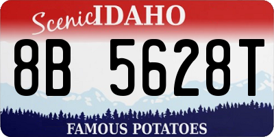 ID license plate 8B5628T