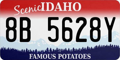 ID license plate 8B5628Y