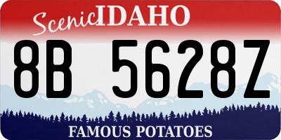 ID license plate 8B5628Z