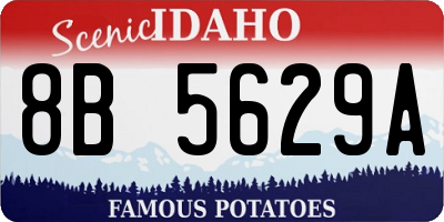 ID license plate 8B5629A