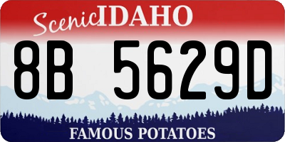 ID license plate 8B5629D