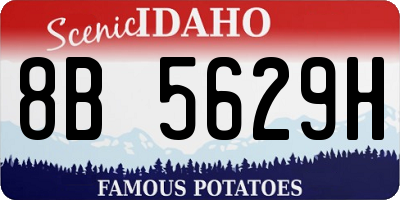 ID license plate 8B5629H