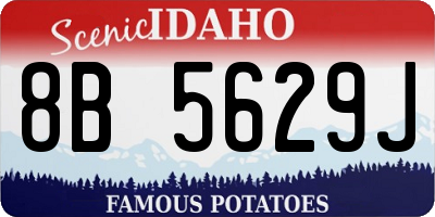 ID license plate 8B5629J
