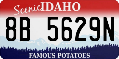 ID license plate 8B5629N