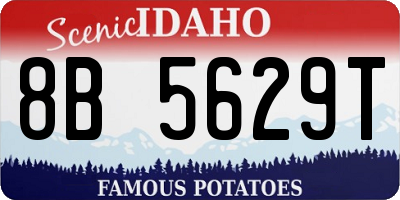 ID license plate 8B5629T