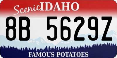 ID license plate 8B5629Z