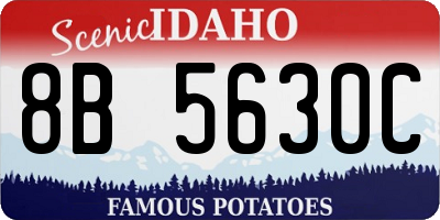 ID license plate 8B5630C