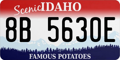 ID license plate 8B5630E