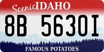 ID license plate 8B5630I
