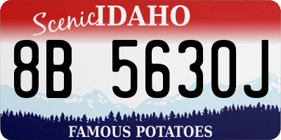 ID license plate 8B5630J