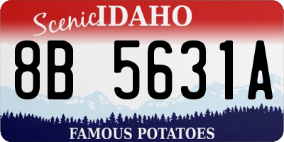 ID license plate 8B5631A