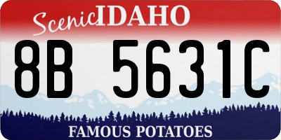ID license plate 8B5631C