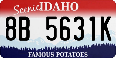 ID license plate 8B5631K
