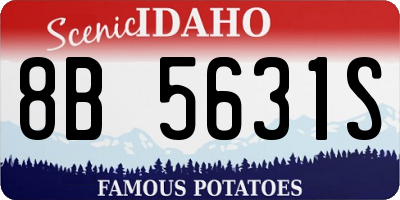 ID license plate 8B5631S