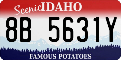 ID license plate 8B5631Y