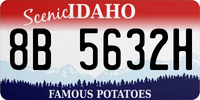 ID license plate 8B5632H