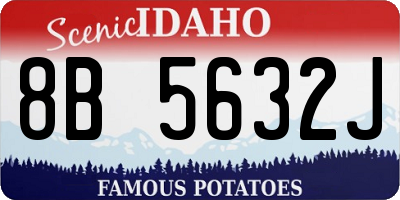 ID license plate 8B5632J