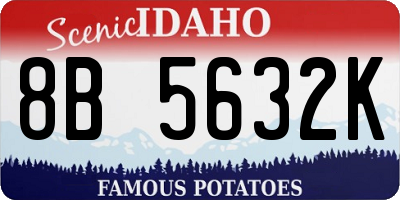 ID license plate 8B5632K