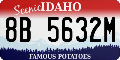 ID license plate 8B5632M