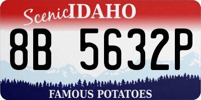 ID license plate 8B5632P