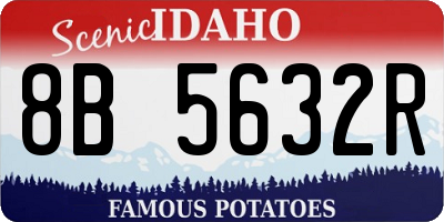 ID license plate 8B5632R