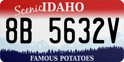 ID license plate 8B5632V