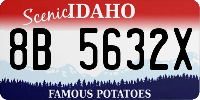 ID license plate 8B5632X