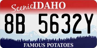 ID license plate 8B5632Y