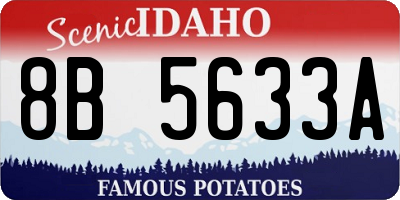 ID license plate 8B5633A