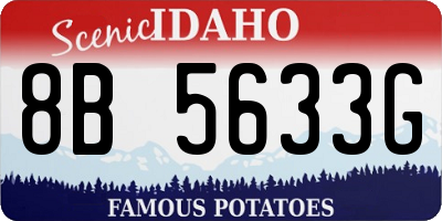 ID license plate 8B5633G