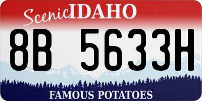 ID license plate 8B5633H