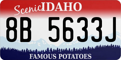 ID license plate 8B5633J
