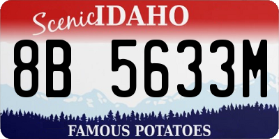 ID license plate 8B5633M