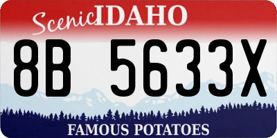 ID license plate 8B5633X